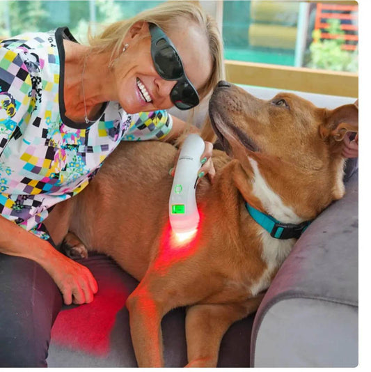 Beam-Me-Better-Cold-Laser-Therapy-for-Dogs-in-Pain Paws And Pens