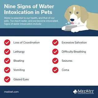 Water Tox Symptoms