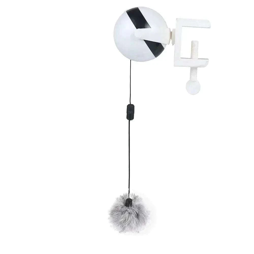 Automatic Lifting Cat Ball ToyAutomatic Lifting BallPaws And PensAutomatic Lifting Ball
Toys encourage your cat to play, jump, catch and bite, and the hunter's desire to eliminate the most instinctive cat reaction.
Features:
ThPaws and pens