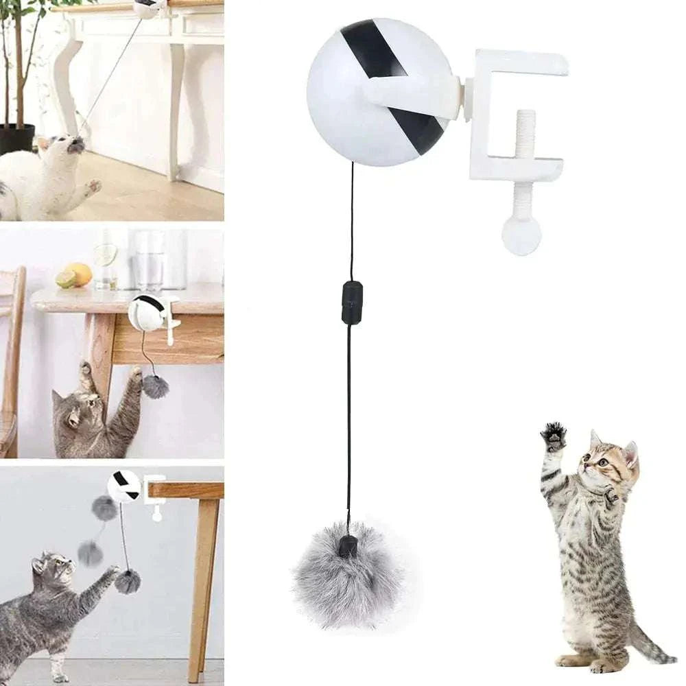Automatic Lifting Cat Ball ToyAutomatic Lifting BallPaws And PensAutomatic Lifting Ball
Toys encourage your cat to play, jump, catch and bite, and the hunter's desire to eliminate the most instinctive cat reaction.
Features:
ThPaws and pens