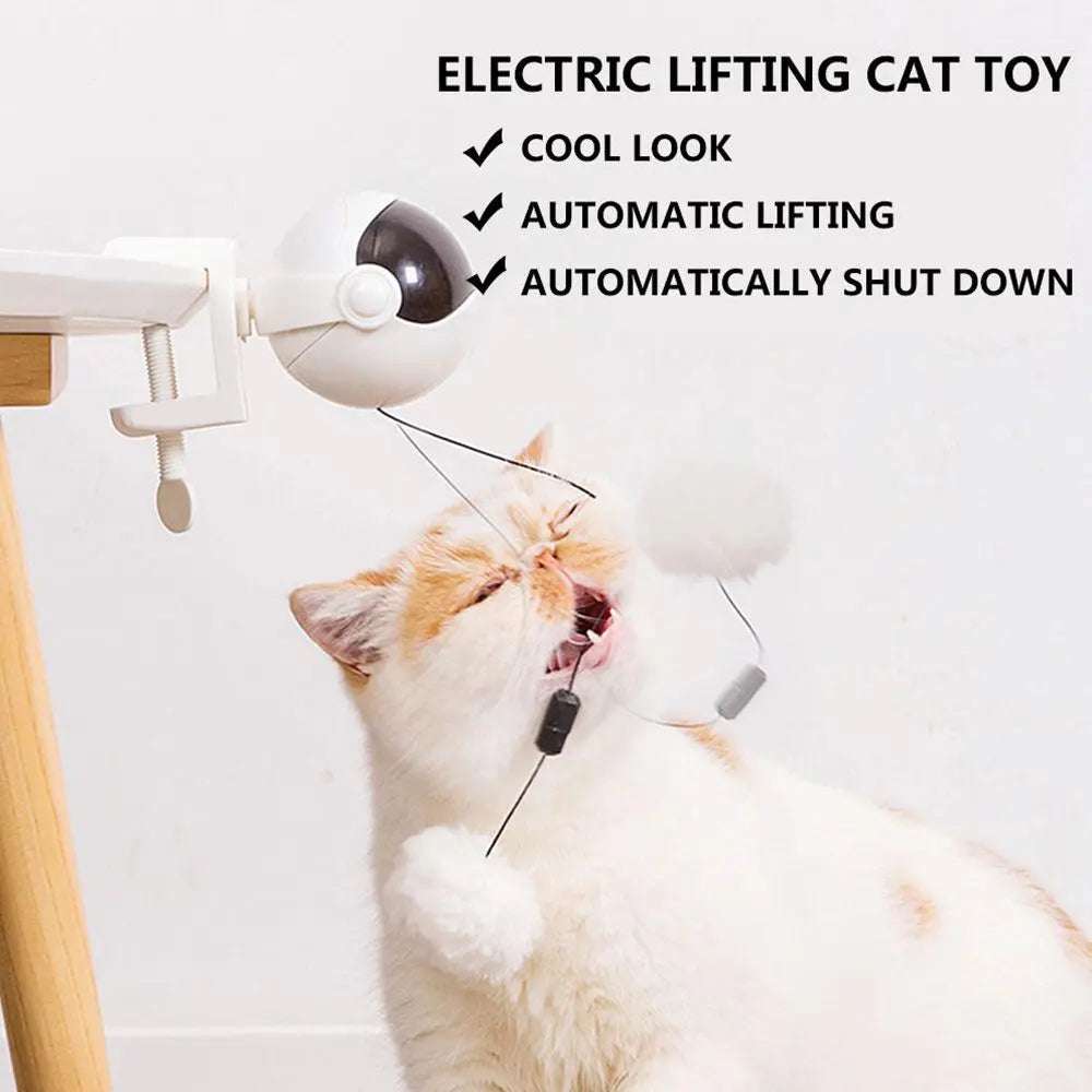 Automatic Lifting Cat Ball ToyAutomatic Lifting BallPaws And PensAutomatic Lifting Ball
Toys encourage your cat to play, jump, catch and bite, and the hunter's desire to eliminate the most instinctive cat reaction.
Features:
ThPaws and pens