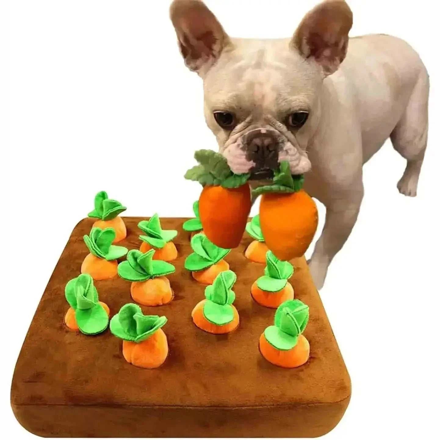 Carrot Farm Interactive Plush Dog ToyCarrot Farm Interactive Plush Dog ToyPaws And PensCarrot Farm Interactive Plush Dog Toy
Does your dog need something to keep him entertained?
The interactive carrot farm prevents your dog from getting bored by keepiPaws and pens