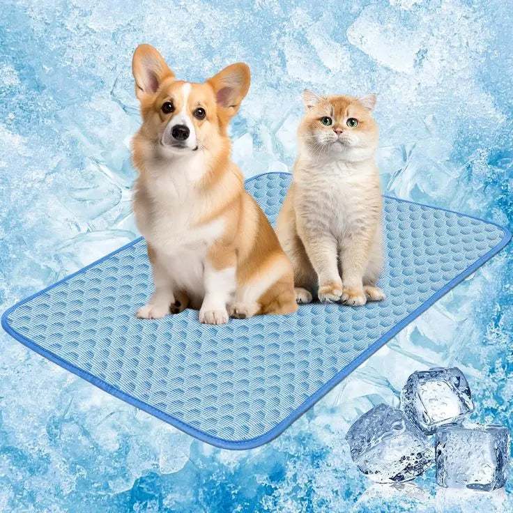 Pet cooling mat with a corgi and cat sitting on a textured blue cooling pad surrounded by ice cubes and icy background