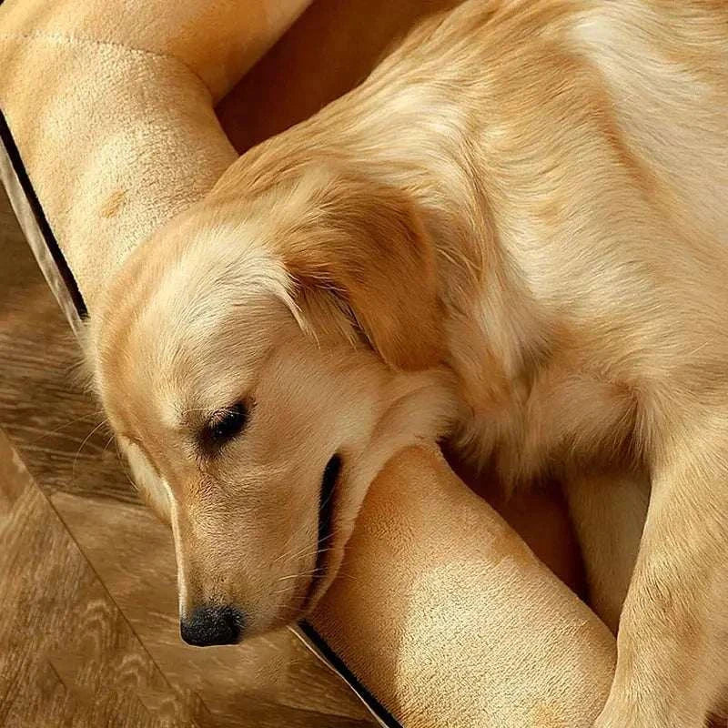 Dog sleeping beds