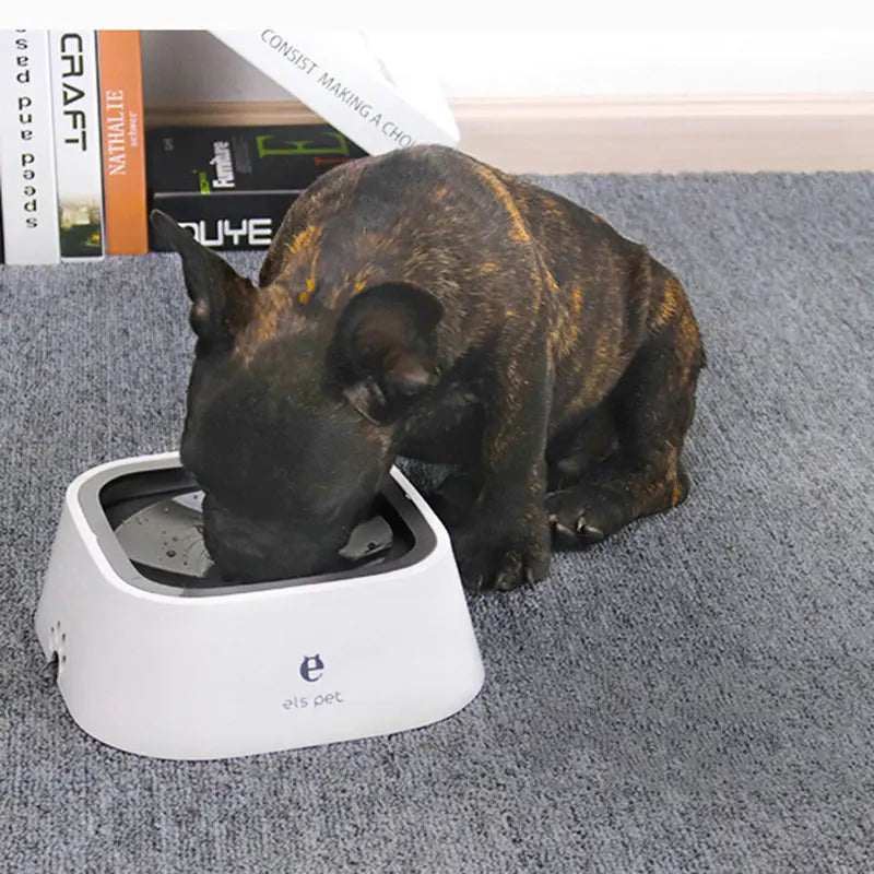 Spill proof dog water bowl Splash Proof Pet BowlSpill proof dog water bowlPaws And PensWhy Choose a Splash Proof Pet Bowl
Our Splash Proof Pet Bowl is a revolutionary way to keep your furry friend hydrated without worrying about the mess.
The day you Paws And Pens