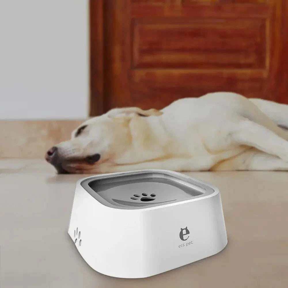 Spill proof dog water bowl Splash Proof Pet BowlSpill proof dog water bowlPaws And PensWhy Choose a Splash Proof Pet Bowl
Our Splash Proof Pet Bowl is a revolutionary way to keep your furry friend hydrated without worrying about the mess.
The day you Paws And Pens