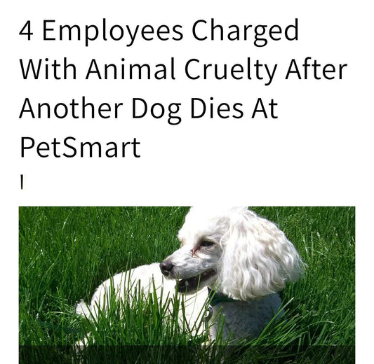 Groomed-for-Disaster-The-Silent-Death-of-Coby-at-PetSmart Paws And Pens