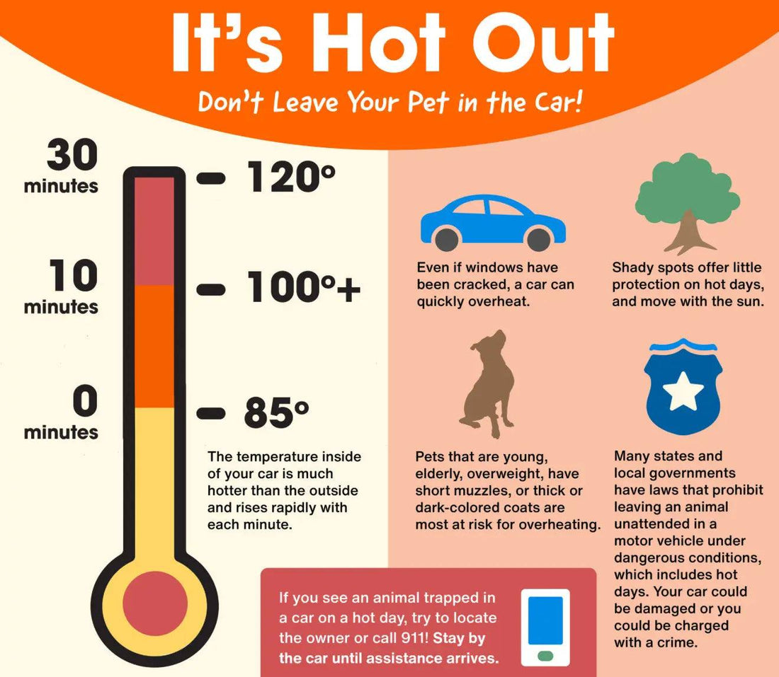 Heatstroke-Happens-Fast-Don-t-Let-Your-Pet-Be-a-Statistic Paws And Pens