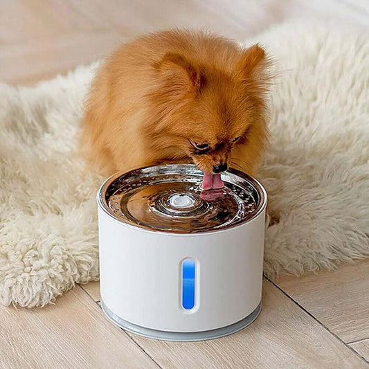 Small dog drinking water from a 2.4L automatic pet water fountain on wooden floor with a rug nearby