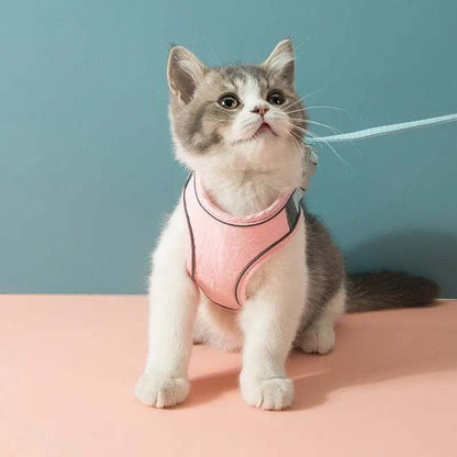 Adjustable Cat Harness SetAdjustable Cat Harness SetPaws And PensWhy an Adjustable Cat Harness is Essential

TAKING YOUR CAT OUTSIDE HAS NEVER BEEN SO CONVENIENT!
This cat leash is made of high-quality materials, so you can safelyPaws and pens