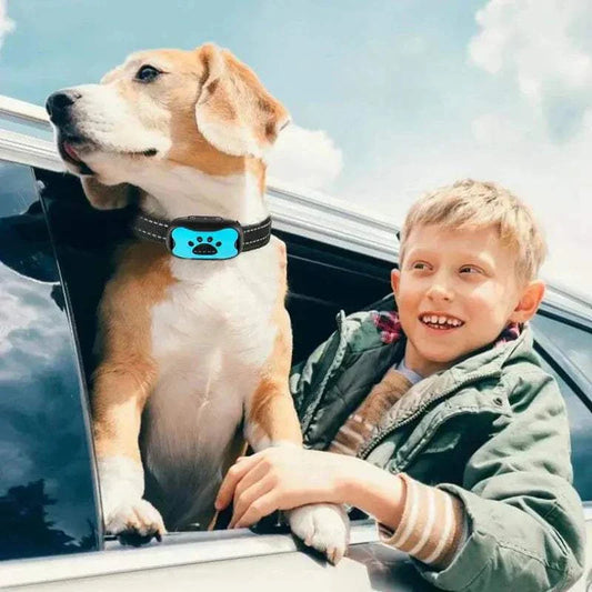 Boy with dog wearing anti-bark dog collar by car window outdoors