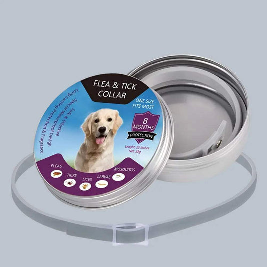 anti flea dogs