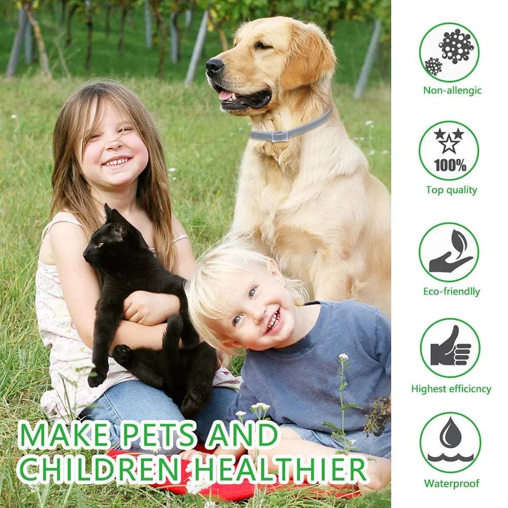 anti flea dogs