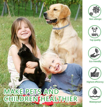 anti flea dogs