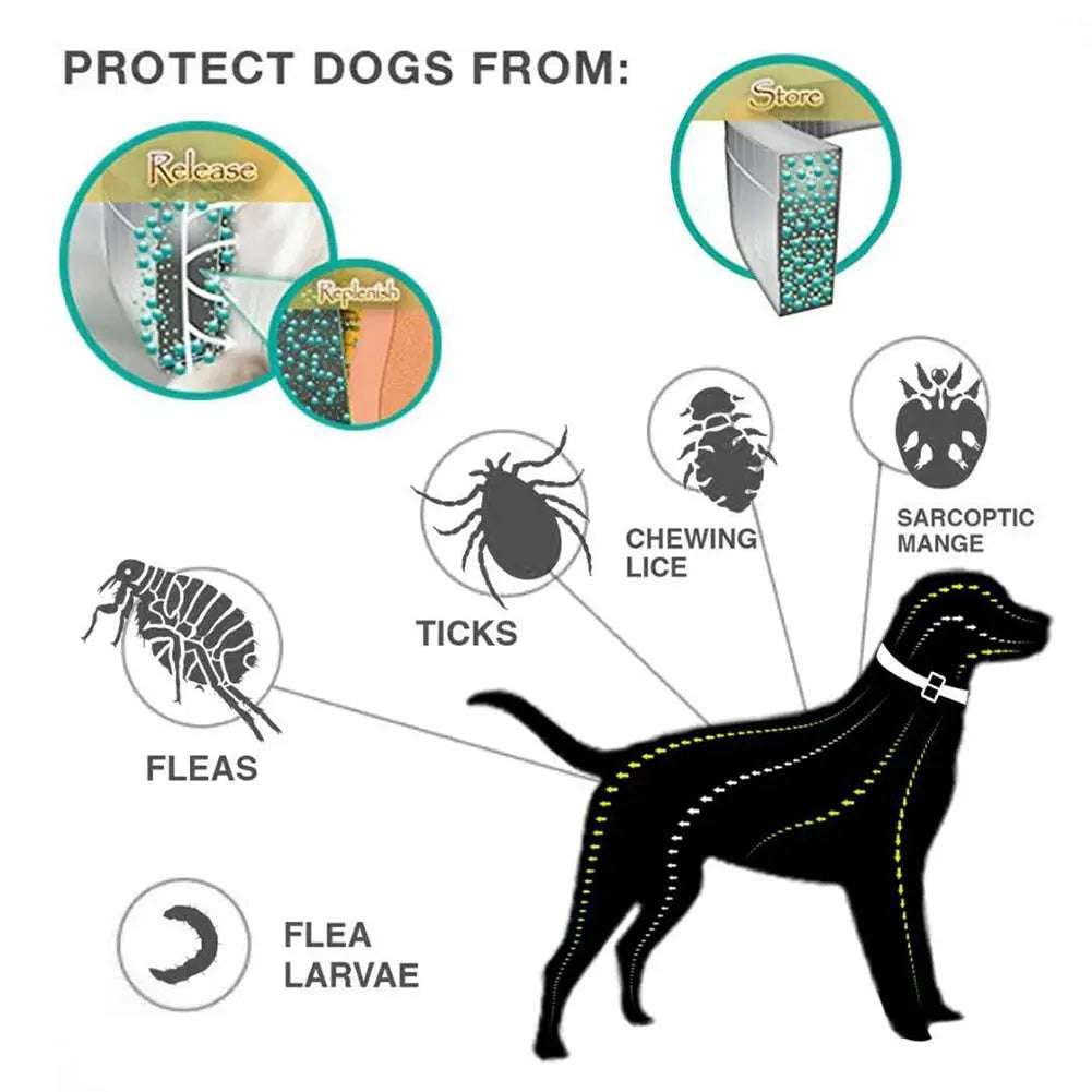anti flea dogs