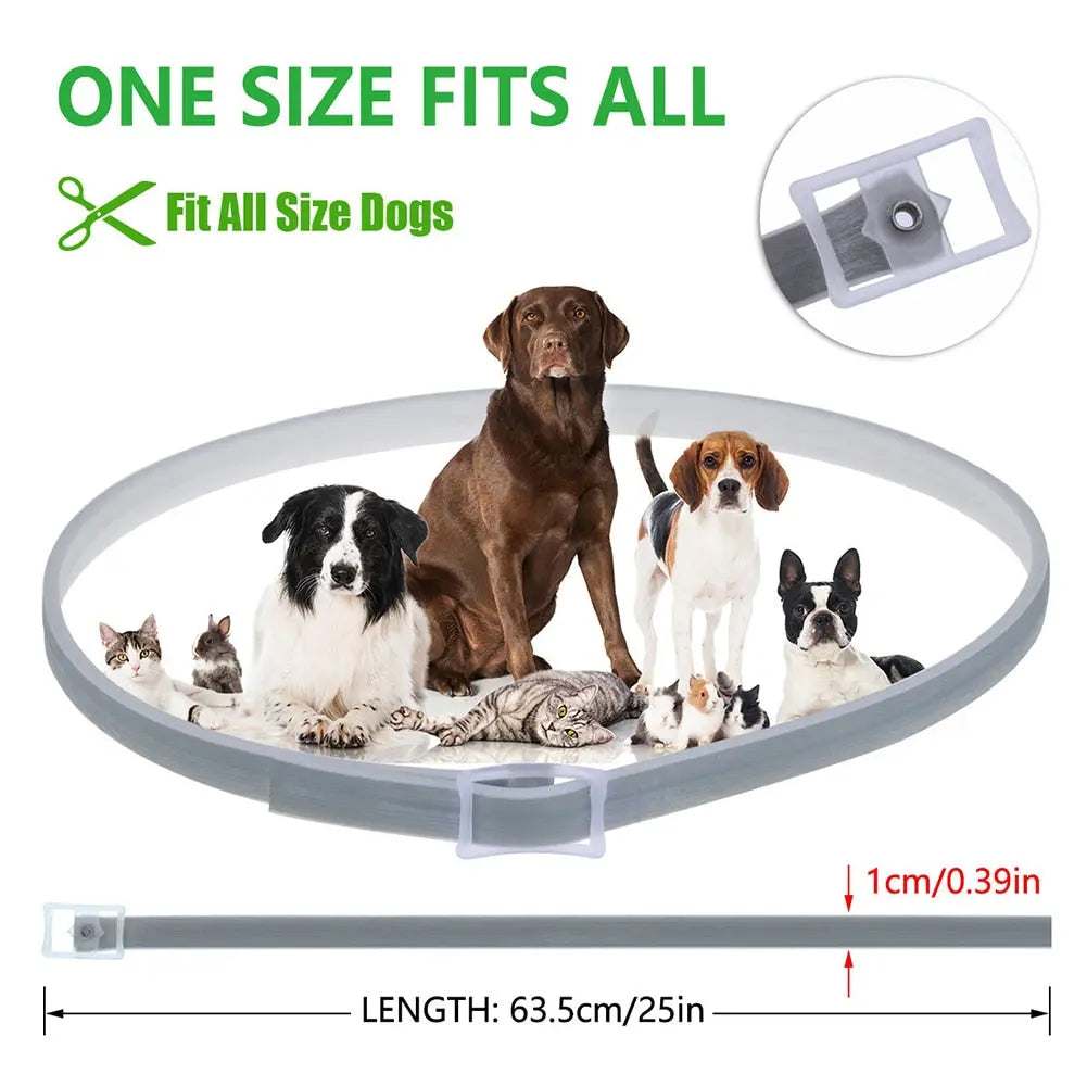 anti flea dogs