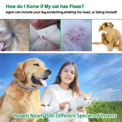 anti flea dogs
