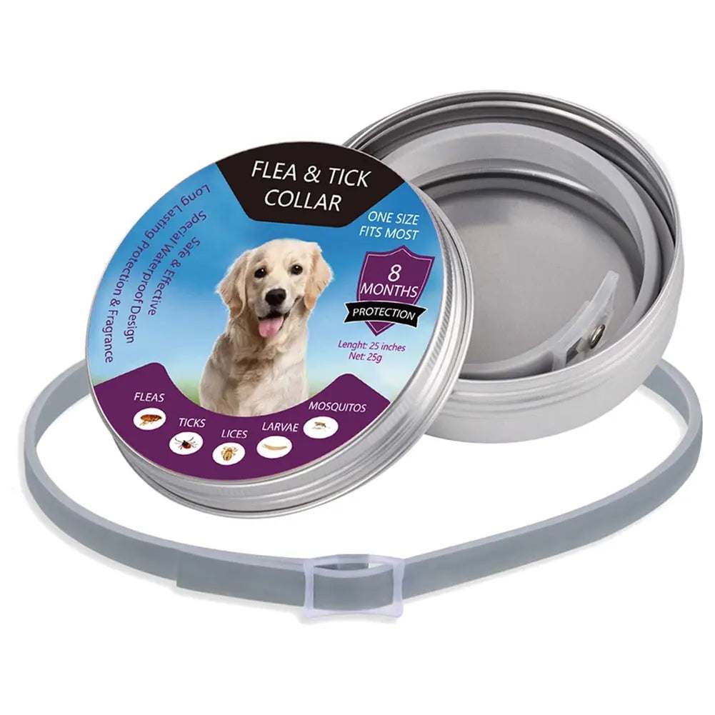 anti flea dogs