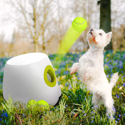 White automatic ball launcher releasing a tennis ball with a small white dog jumping to catch it outdoors on grass with flowers.