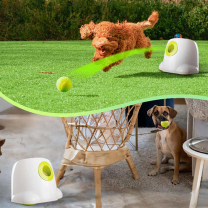 Automatic Ball LauncherAutomatic Ball LauncherPaws And PensWhy Choose an Automatic Ball Launcher?
If your dog loves to play fetch, now they don't even need you to throw the ball with this Automatic Mini Ball Launcher!

Self Paws and pens