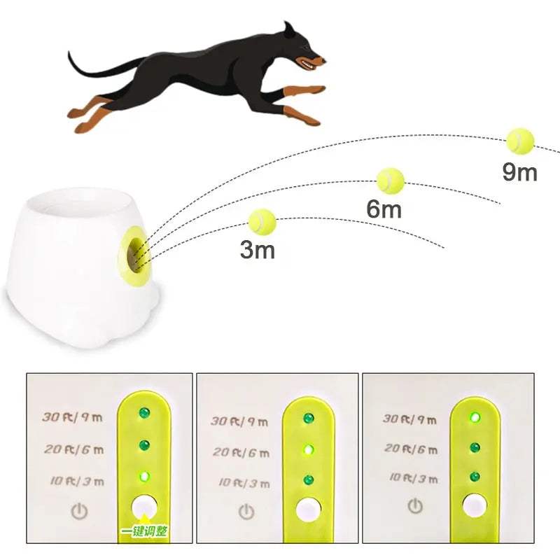 Automatic Ball LauncherAutomatic Ball LauncherPaws And PensWhy Choose an Automatic Ball Launcher?
If your dog loves to play fetch, now they don't even need you to throw the ball with this Automatic Mini Ball Launcher!

Self Paws and pens