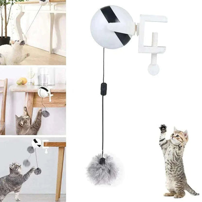 Automatic Lifting Cat Ball ToyAutomatic Lifting BallPaws And PensAutomatic Lifting Ball

Toys encourage your cat to play, jump, catch and bite, and the hunter's desire to eliminate the most instinctive cat reaction.

Features:

ThPaws and pens
