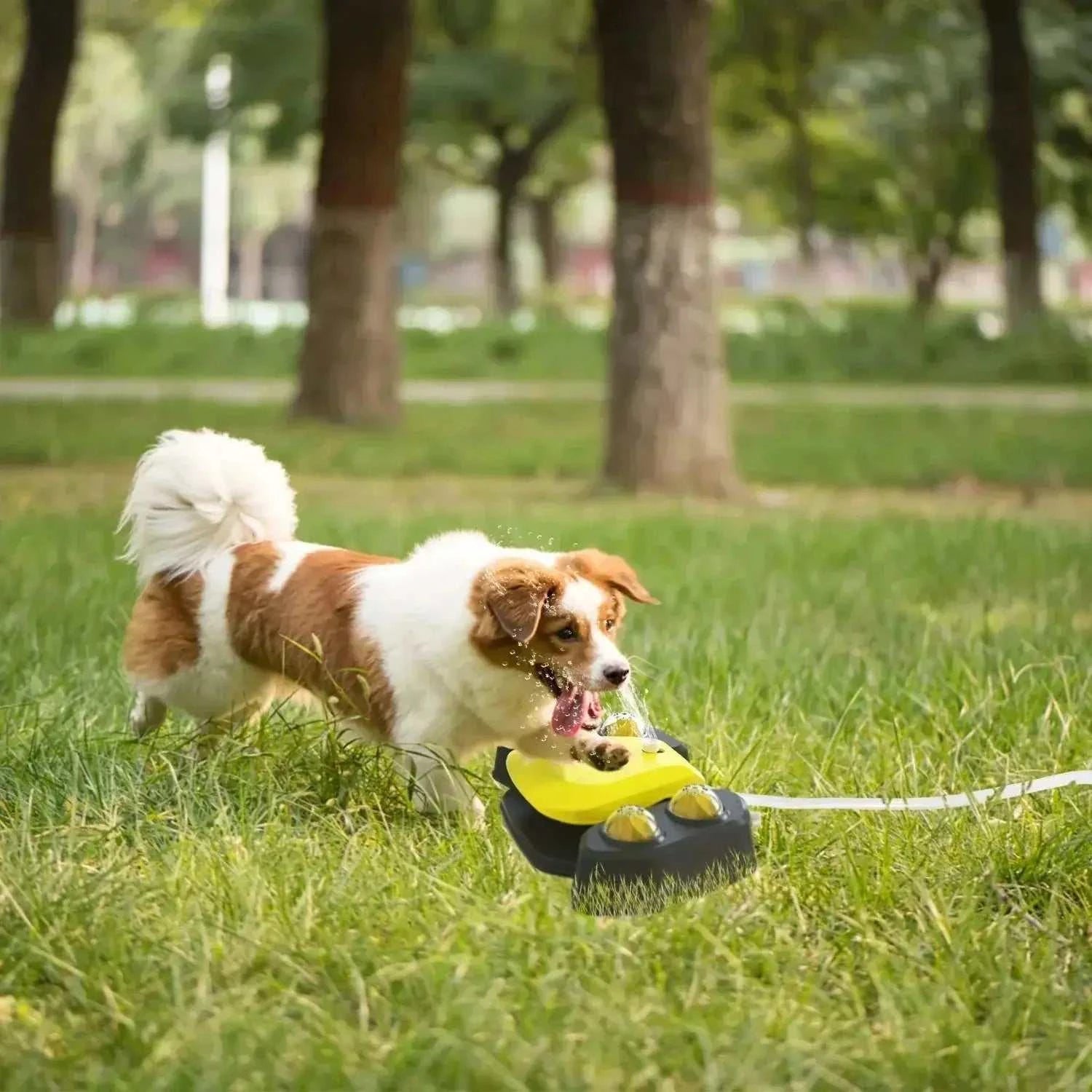 Automatic Outdoor Dog Water FountainPetsDog Water FountainPaws And PensConstant Availability of Fresh Water
Make sure your pet can easily serve itself to get fresh and clean water at any time, even in your absence. No need to refill thePaws And Pens