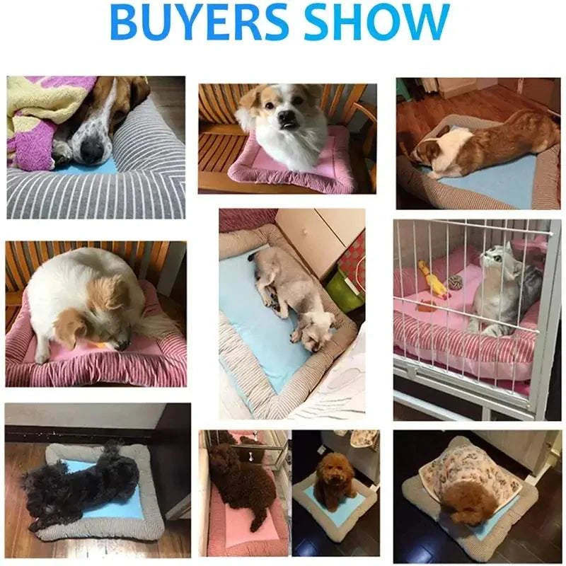 Breathable Pet Cooling MatPet cooling matPaws And PensWhy Choose a Breathable Pet Cooling Mat?
A Breathable Pet Cooling Mat offers multiple features designed to keep pets cool and comfortable in hot weather.

Advanced CPaws And Pens