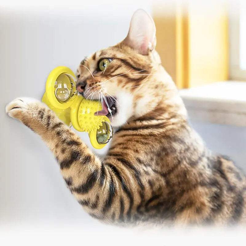 Cat Windmill ToyCat Windmill ToyPaws And PensWant To Keep Your Cat Excited?
Playing for our cat is essential not only for health reasons (keeping fit and avoiding being overweight) but also to avoid behavioral Paws and pens
