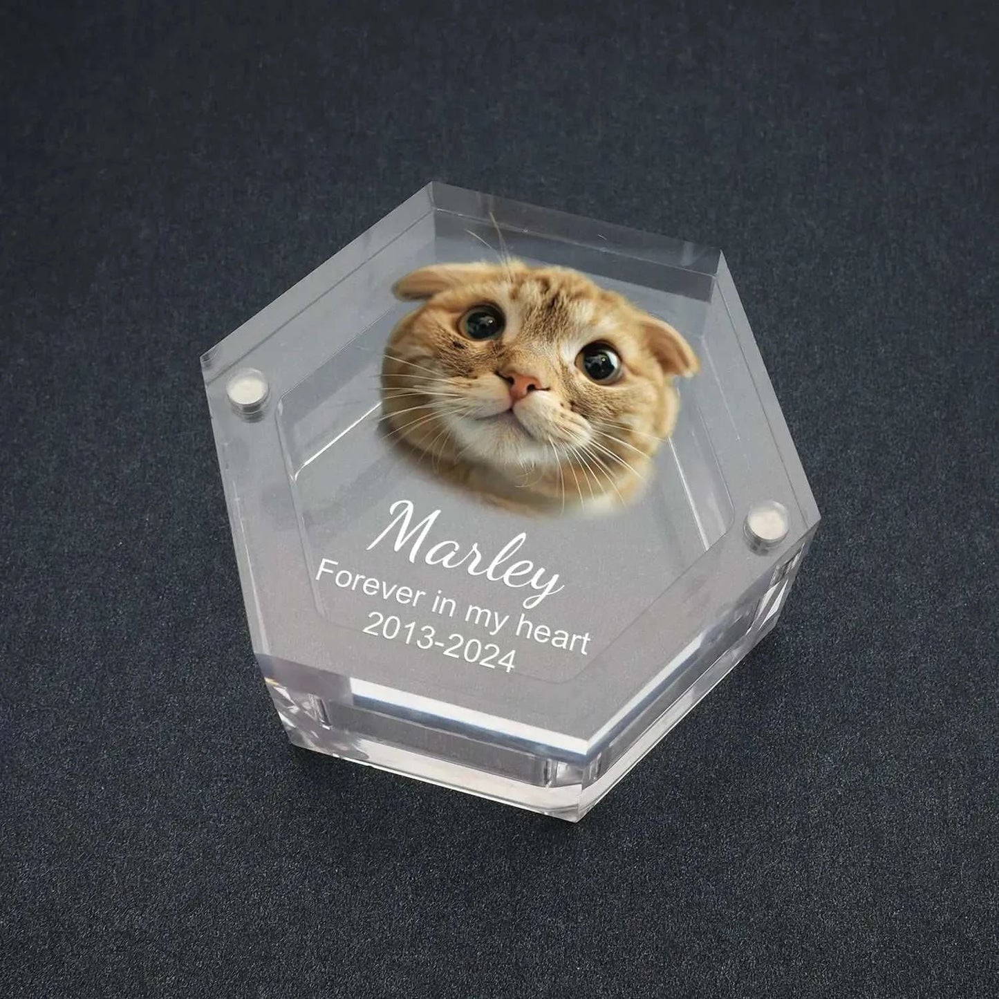 Custom Pet Hair Memorial Keepsake Box Pet MemorialPetsPet MemorialPaws And PensWhy Choose a Custom Pet Hair Memorial Keepsake Box?

Preserve your pet’s precious memories with the Custom Pet Hair Memorial Box, a heartfelt keepsake to cherish thePaws And Pens