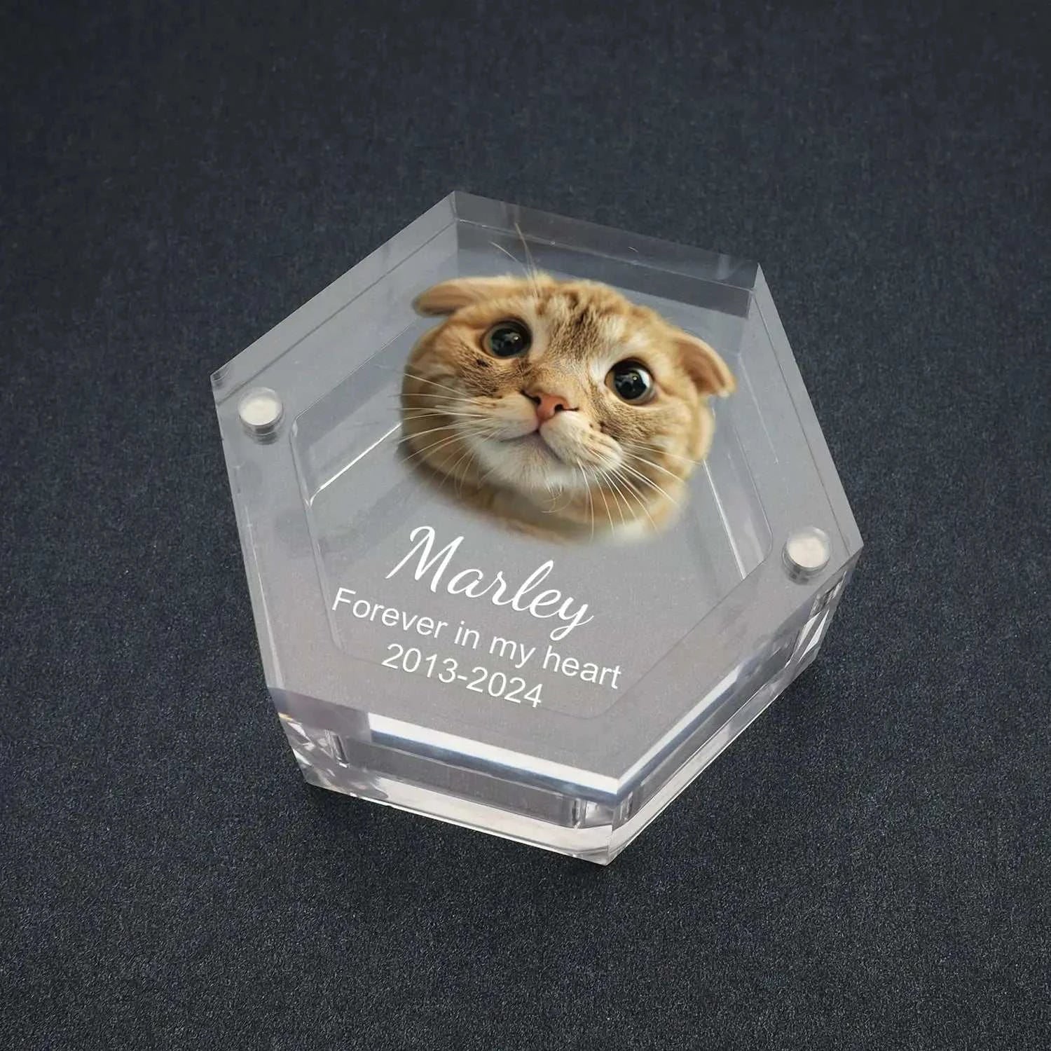 Custom Pet Hair Memorial Keepsake Box Pet MemorialPetsPet MemorialPaws And PensWhy Choose a Custom Pet Hair Memorial Keepsake Box?

Preserve your pet’s precious memories with the Custom Pet Hair Memorial Box, a heartfelt keepsake to cherish thePaws And Pens