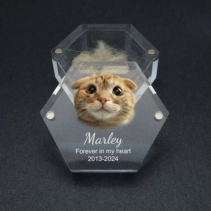 Custom Pet Hair Memorial Keepsake Box Pet MemorialPetsPet MemorialPaws And PensWhy Choose a Custom Pet Hair Memorial Keepsake Box?

Preserve your pet’s precious memories with the Custom Pet Hair Memorial Box, a heartfelt keepsake to cherish thePaws And Pens