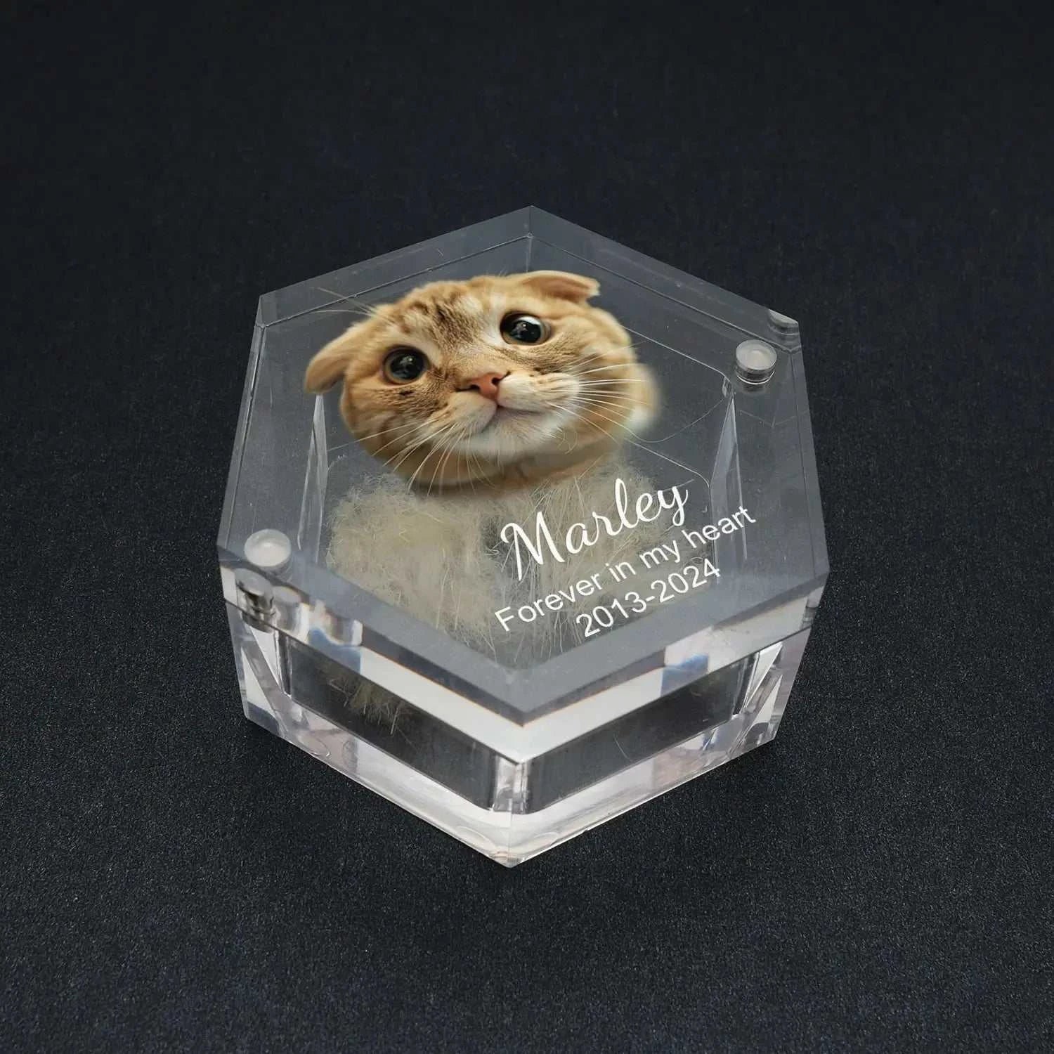 Custom Pet Hair Memorial Keepsake Box Pet MemorialPetsPet MemorialPaws And PensWhy Choose a Custom Pet Hair Memorial Keepsake Box?

Preserve your pet’s precious memories with the Custom Pet Hair Memorial Box, a heartfelt keepsake to cherish thePaws And Pens
