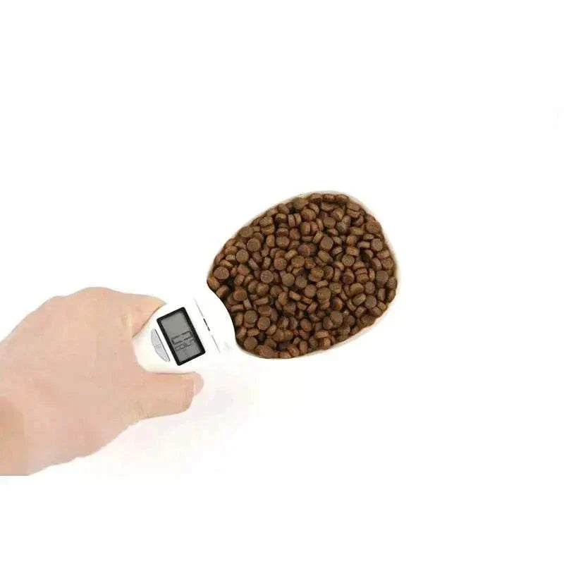 Digital Food