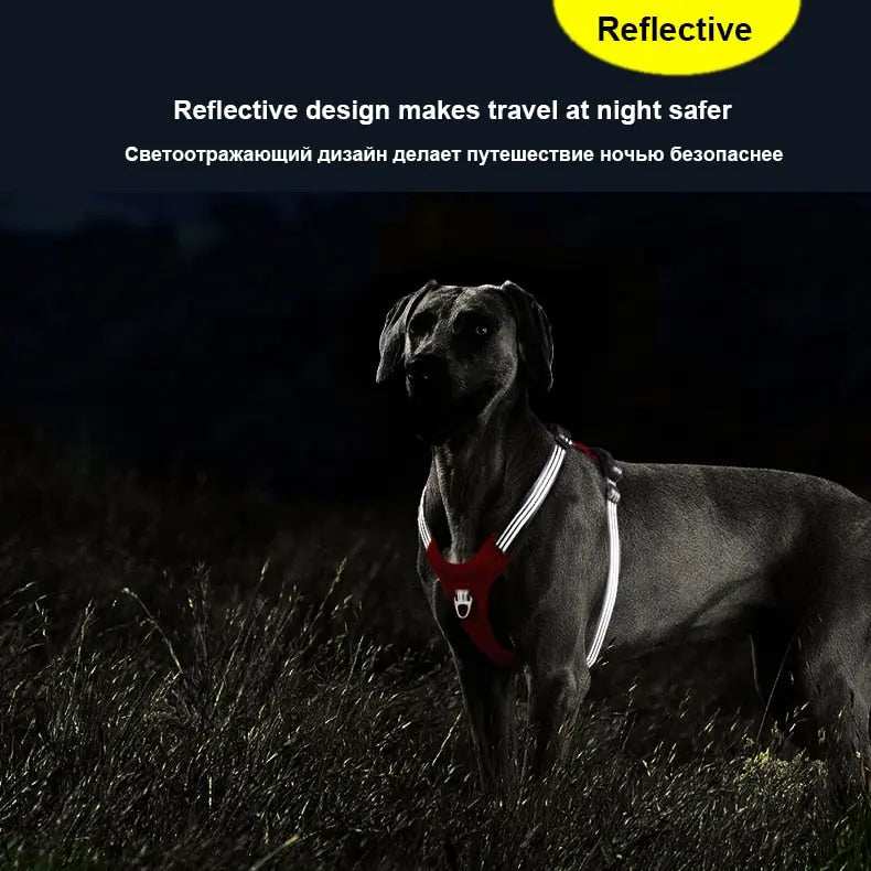 Dog Harness