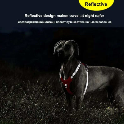 Dog Harness