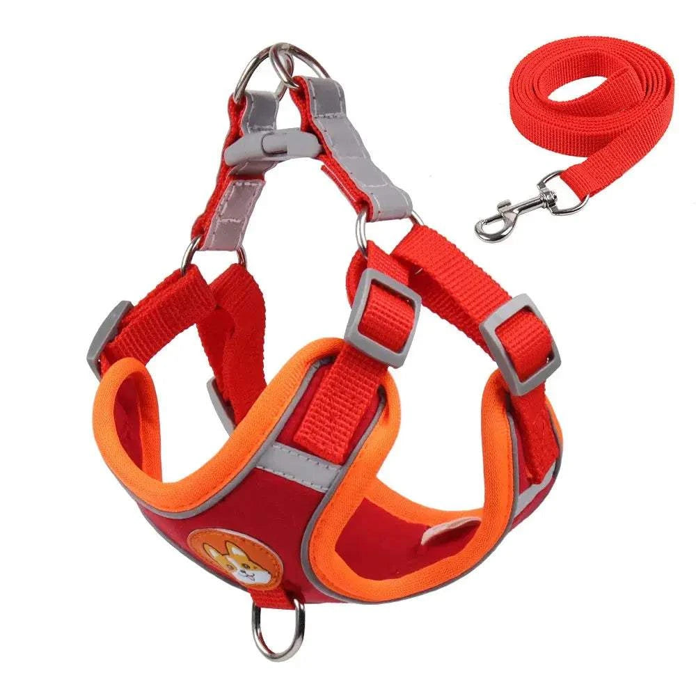 Dog Harness with Leash SetDog Harness with Leash SetPaws And PensWhy Choose a Dog Harness with Leash Set
Safety and comfort come first in your pet's life.
The comfort of your dog is our priority, and that's why we launched this rePaws and pens