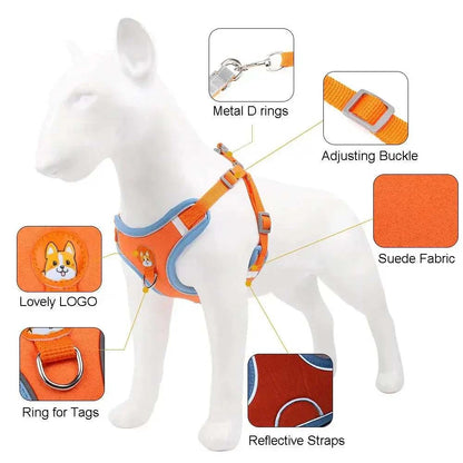 Dog Harness with Leash SetDog Harness with Leash SetPaws And PensWhy Choose a Dog Harness with Leash Set
Safety and comfort come first in your pet's life.
The comfort of your dog is our priority, and that's why we launched this rePaws and pens