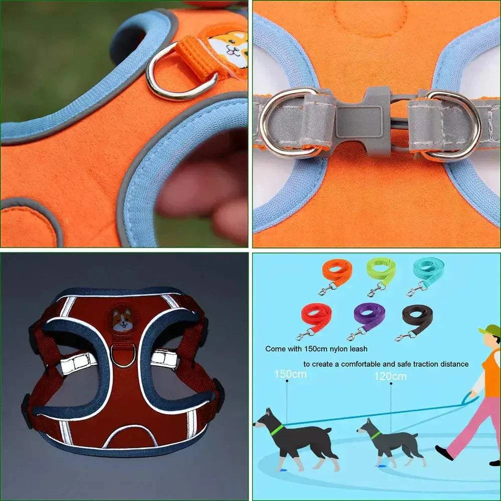 Dog Harness with Leash SetDog Harness with Leash SetPaws And PensWhy Choose a Dog Harness with Leash Set
Safety and comfort come first in your pet's life.
The comfort of your dog is our priority, and that's why we launched this rePaws and pens