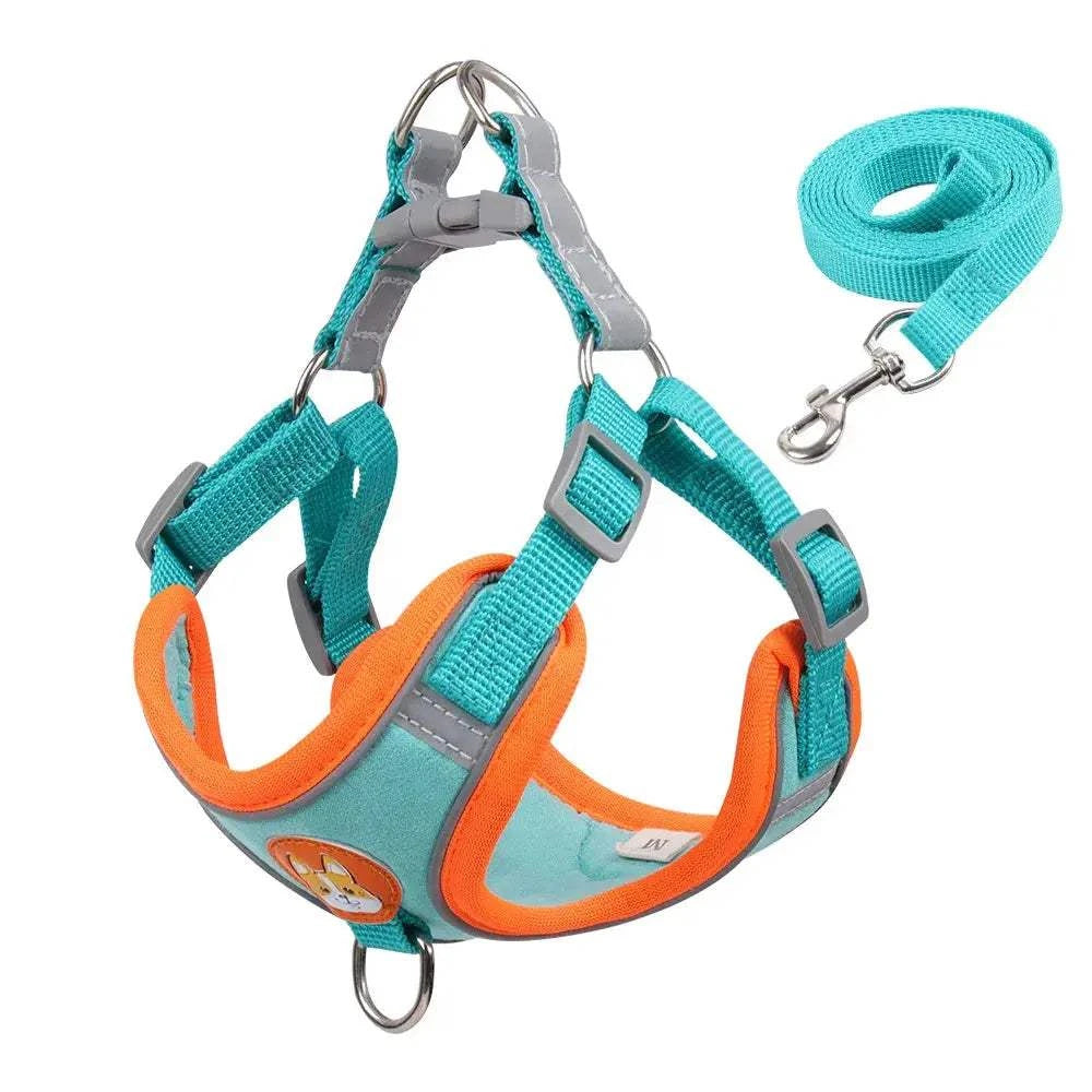 Dog Harness with Leash SetDog Harness with Leash SetPaws And PensWhy Choose a Dog Harness with Leash Set
Safety and comfort come first in your pet's life.
The comfort of your dog is our priority, and that's why we launched this rePaws and pens