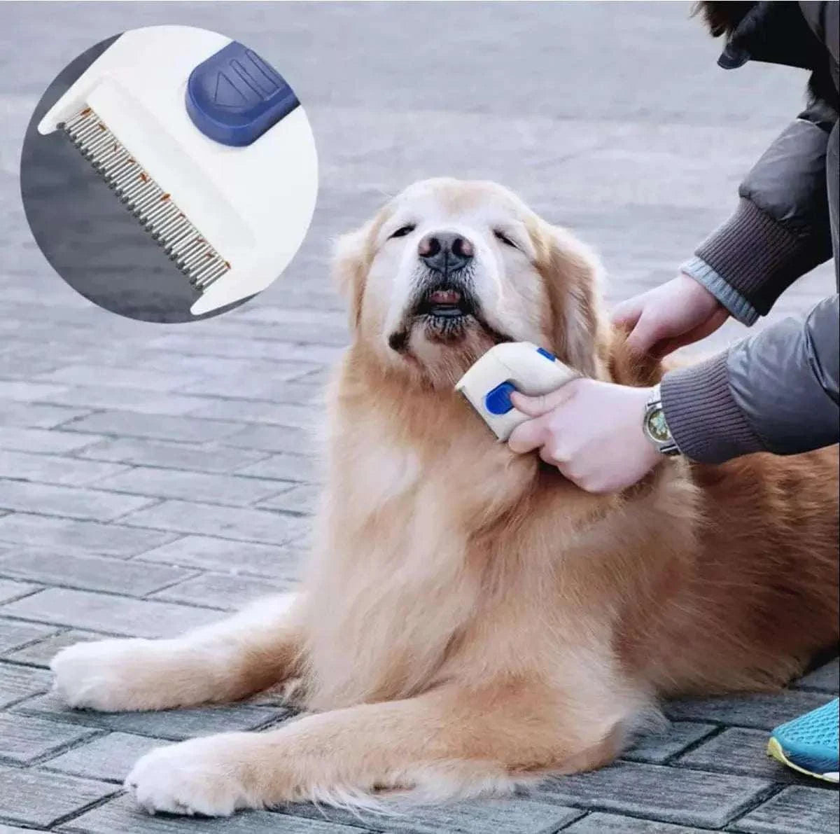 Electric flea Comb Anti Lice Comb Tools CombPetsElectric flea CombPaws And PensIRRITATION BE GONE!
Electric Anti Lice Comb Tools and ticks can cause incredible discomfort and even transfer diseases to your beloved Pets. Electric flea Comb

ParaPaws And Pens