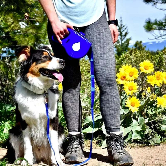 Person holding a blue multi-functional dog leash attached to a sitting dog with yellow flowers in the background outdoors