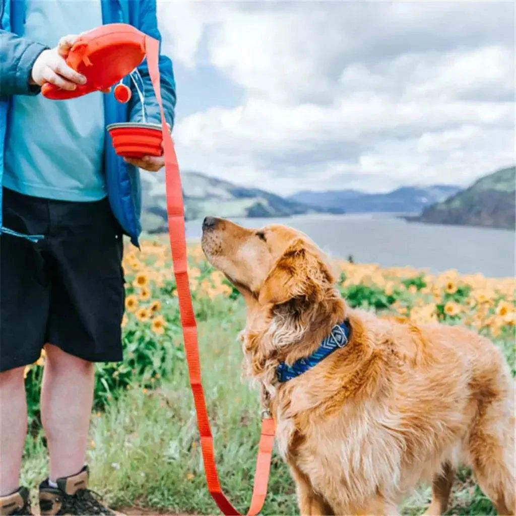Multi-functional Dog LeashMulti-functional Dog LeashPaws And PensWhy Choose an Adjustable Dog Leash Multifunctional?
Multi-function Dog Leash
From water to hydrate your dog to waste bags to dispense waste, you always end up with aPaws and pens