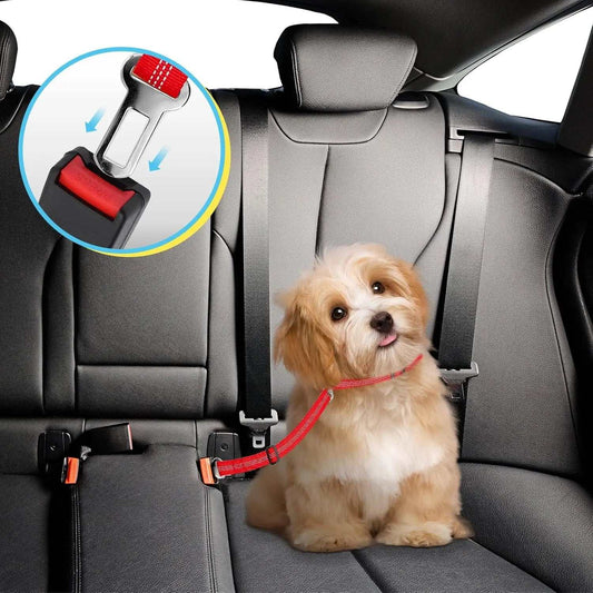 Small dog secured with a red pet car safety belt on a car back seat with inset showing seatbelt buckle mechanism