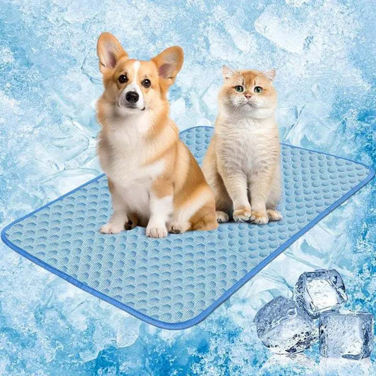 Pet cooling mat with a corgi and cat sitting on a textured blue cooling pad surrounded by ice cubes and icy background