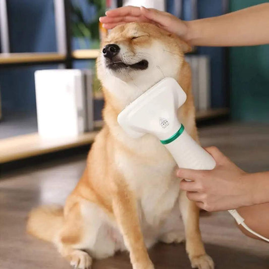 Dog hair dryer Pet Electric Hair DeshedderPetsDog hair dryerPaws And PensPet Hair Dryer: A Must-Have for Every Pet Owner Dog hair dryer
Drying While Grooming: Our Pet Electric Hair Dryer can be used to dry your furry pet after its shower,Paws And Pens