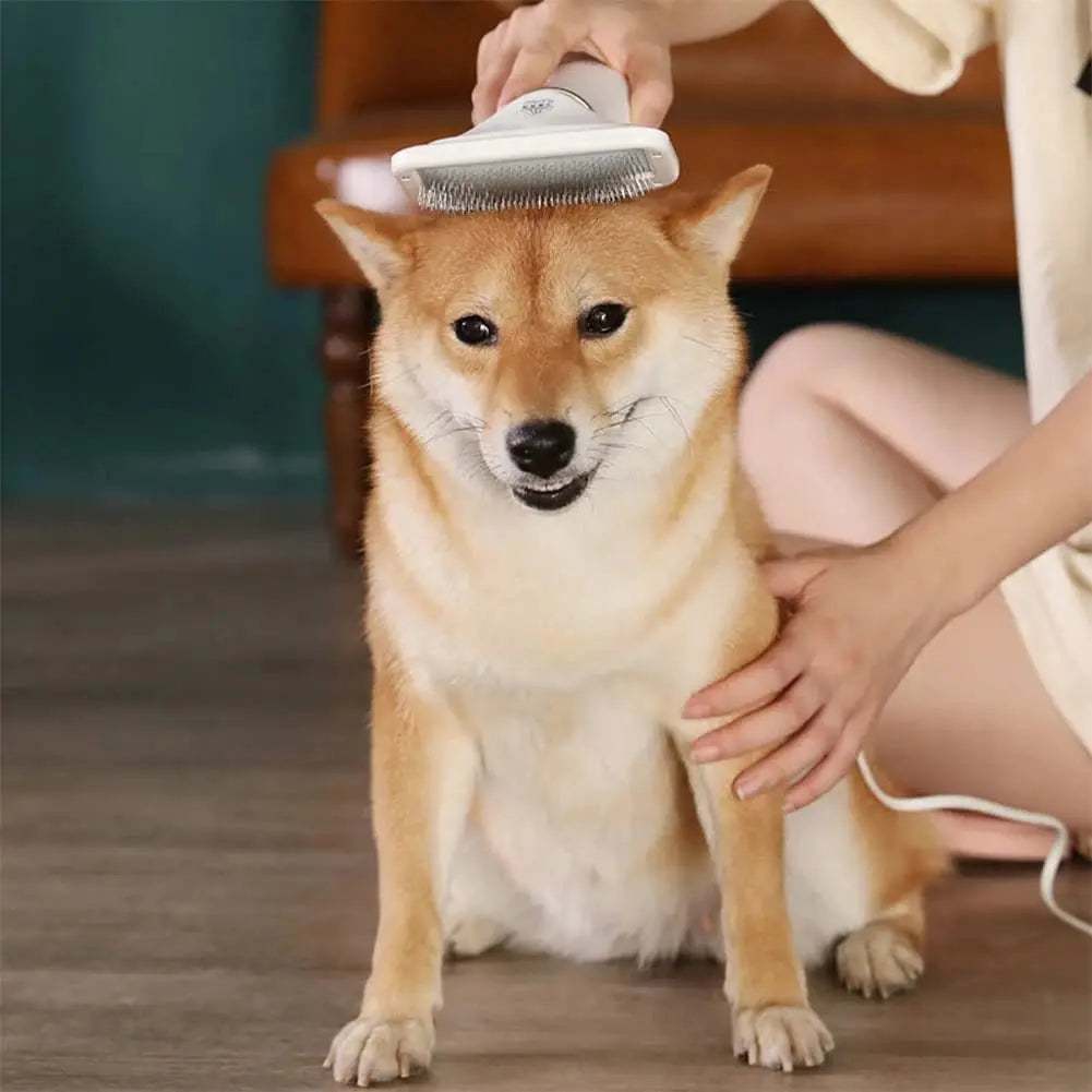 Dog hair dryer Pet Electric Hair DeshedderPetsDog hair dryerPaws And PensPet Hair Dryer: A Must-Have for Every Pet Owner Dog hair dryer
Drying While Grooming: Our Pet Electric Hair Dryer can be used to dry your furry pet after its shower,Paws And Pens