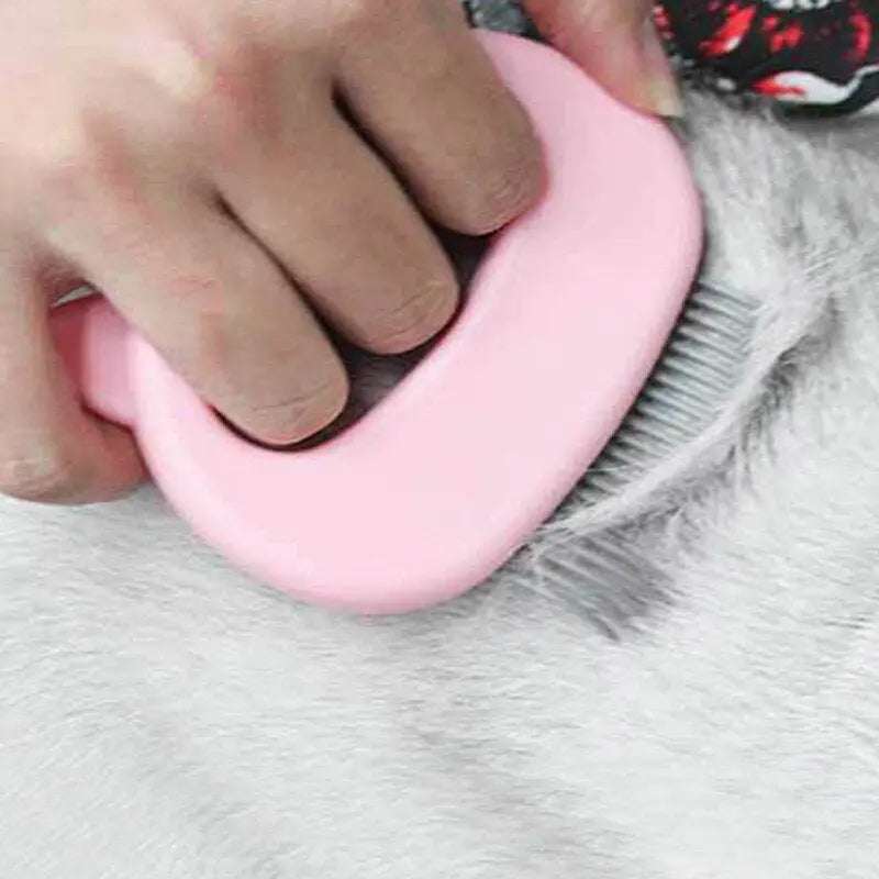 Pet Flea Comb