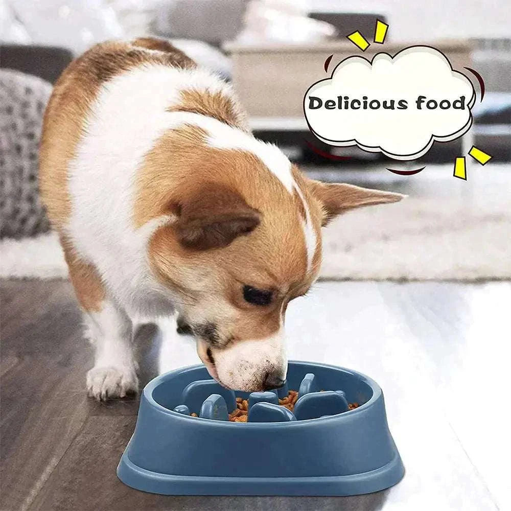 Pet Slow Feeder BowlPet Slow Feeder BowlPaws And PensWhy Choose a Pet Slow Feeder Bowl
PREVENT YOUR CAT OR DOG FROM OVEREATING AND CHOKING WITH THE SLOW-FEEDER PET BOWL
It is believed that Dogs can eat and eat and eat Paws and pens