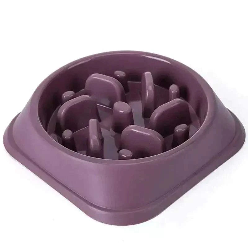 Pet Slow Feeder BowlPet Slow Feeder BowlPaws And PensWhy Choose a Pet Slow Feeder Bowl
PREVENT YOUR CAT OR DOG FROM OVEREATING AND CHOKING WITH THE SLOW-FEEDER PET BOWL
It is believed that Dogs can eat and eat and eat Paws and pens